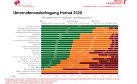 Unternehmensbefragung Herbst 2020